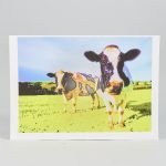 1427 8001 Grafiskt blad